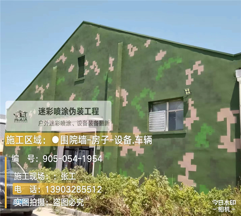 娄底外墙数码迷彩漆施工报价清单（100㎡标准墙面测算）